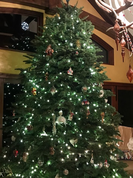 Christmas Tree.jpg