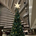 Tree at Hyatt Regency 2